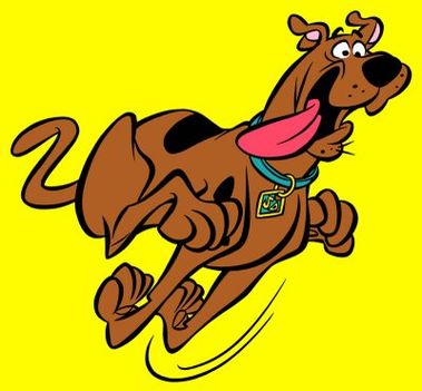 SCOOBY-DOO RUN COLOR