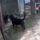 Bravo_az_uj_gazdival_komlokovi_3_1340011_6088_t