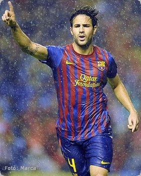 cesc006