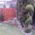 Leilandi_ciprust_is_megcsavartam_2011_1351941_6845_t