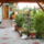 Papagaj_virag_tavolabrol_2011_1351938_3103_t