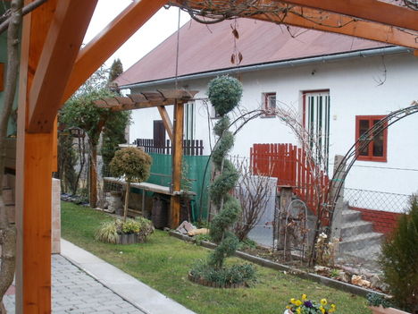 Csavart ciprus saját készítésü 2011