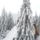 Itt_erednek_a_korosok_11_1352645_5570_t