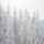 Itt_erednek_a_korosok_17_1352652_9032_t