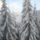 Itt_erednek_a_korosok_20_1352655_8366_t