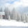 Itt_erednek_a_korosok_23_1352658_2221_t