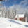 Itt_erednek_a_korosok_27_1352662_3725_t