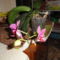 Phalaenopsis 2