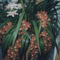 Orchidea2