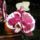 Orchidea_13_1353199_7408_t