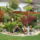 To_2011_1353910_4173_t