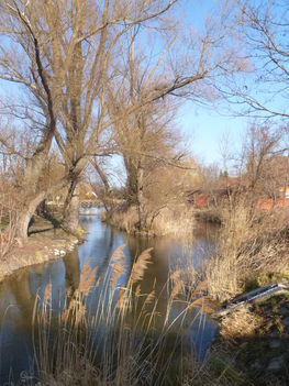 Doborgazsziget, a Zátonyi-Duna a Zátonyi zsilip felvízi oldalán, 2012. január 25.-én