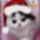 New_year_cat_1355056_4522_t