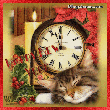 new_years_cat_time