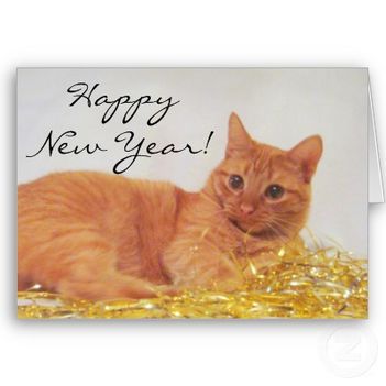 sparkle_cat_2009_happy_new_year_card-p137031303743753718qqld_400