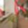 Viragok121_1355156_7289_t