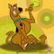 Scooby-Doo-scooby-doo-3437791-500-500