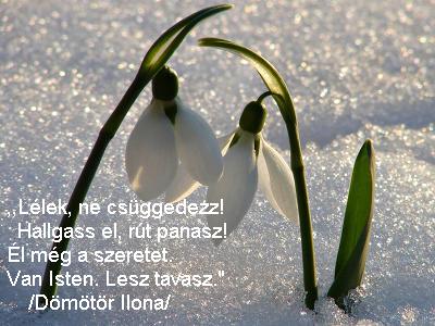 ,,Örülnek és örvendeznek majd mindazok,akik Téged keresnek!"Zsolt.40:17