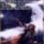 S11_1305637_8035_t