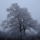 Szep_es_nem_is_tehetunk_ellene_1305492_2294_t
