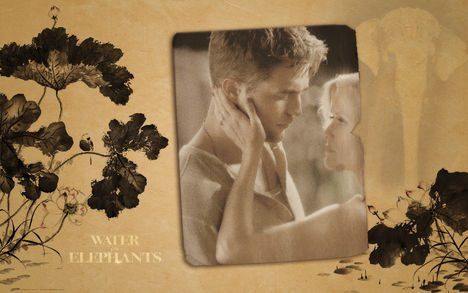 Water for elephants poster 9