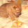 Mindjart_elalszom_1361154_7580_t