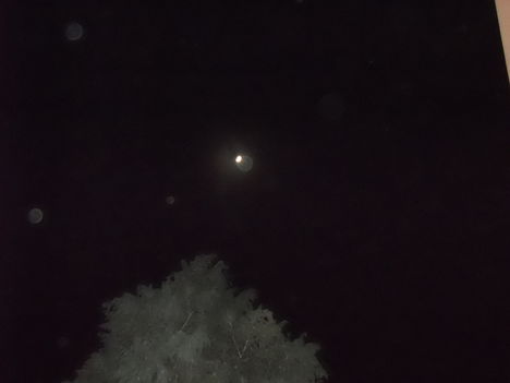 Növő Hold 2012.02.02