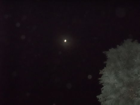 Növő Hold 2012.02.02