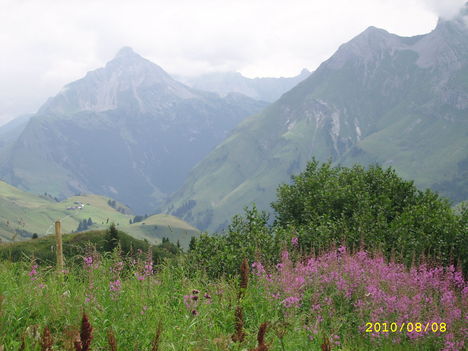 Tirol 11