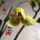 Dsc06498_1363628_7421_t