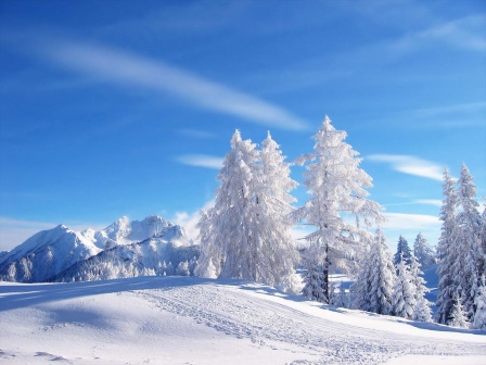,,Napkelettől fogva napnyugtáig dicsértessék az Úr neve!"Zsolt.113:3.