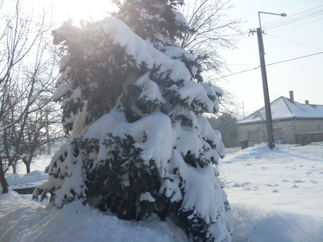 Tél 2012 (17)