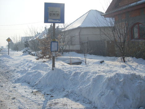 Tél 2012 (7)