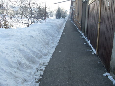 Tél 2012 (8)