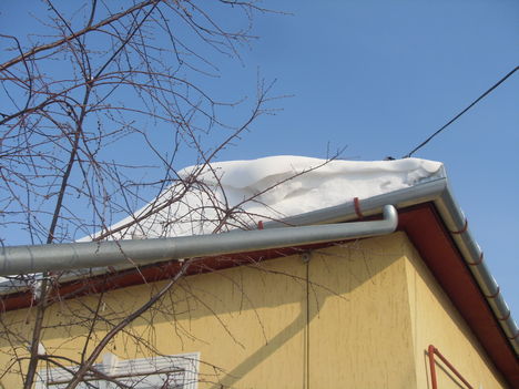 Tél 2012 (9)