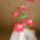 Kedves_klubtarsaimsok_szeretettel_koszontok_minden_kedves_klubtarsat_1360322_8911_t