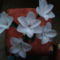 virágok 1liliom harsnyából