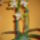 Orchidea_1_1371626_1050_t