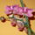 Orchidea_4_1371629_8925_t