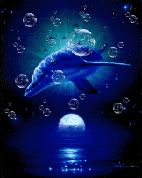 delfinbuborék