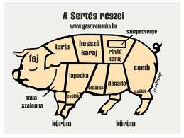 images sertéshusok