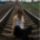 Ne__1373501_7655_t