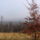 Tel_a_pilisben-001_1373422_8546_t