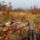 Tel_a_pilisben-002_1373421_9244_t