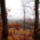 Tel_a_pilisben-003_1373419_9663_t