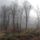 Tel_a_pilisben-004_1373418_8250_t
