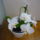 Viragzas___14-002_1373796_4353_t