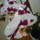 Viragzas___2-006_1373784_7460_t