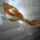 Viragzas___3-006_1373785_5903_t