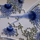 Aspergillus_flavus_1375609_3584_t